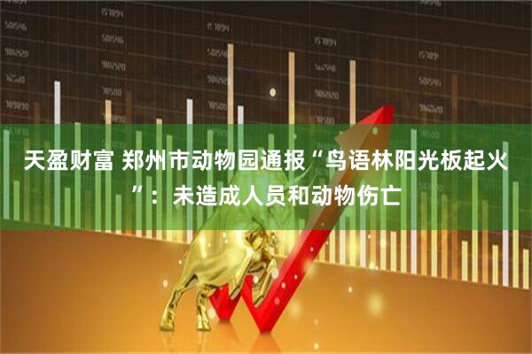 天盈财富 郑州市动物园通报“鸟语林阳光板起火”：未造成人员和动物伤亡